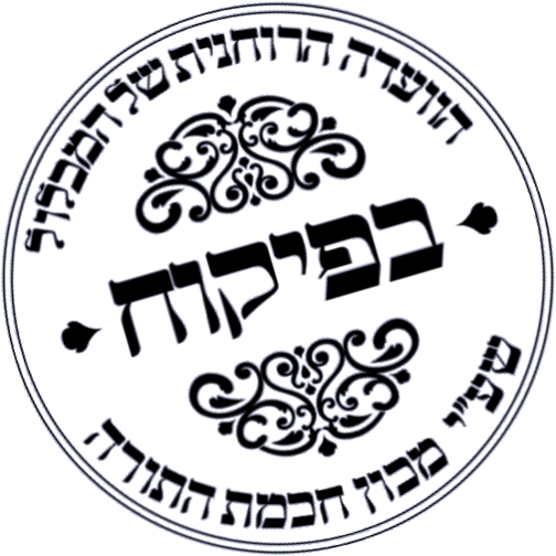 בפיקוח המכלול