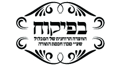 בפיקוח המכלול